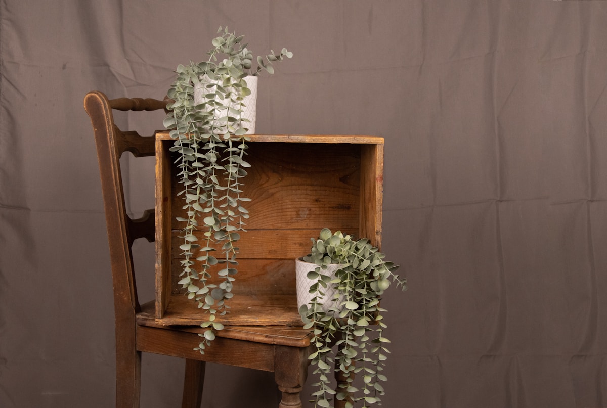 Event display and decorative products for seasonal and commercial use
